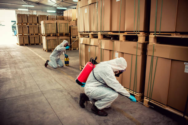 Best Exterminator Services  in Wolf Point, MT