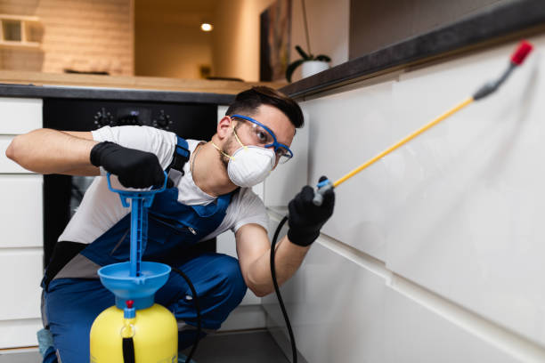 Best Pest Prevention Services  in Wolf Point, MT