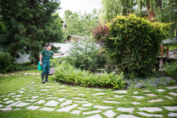 Best Best Pest Control Companies  in Wolf Point, MT