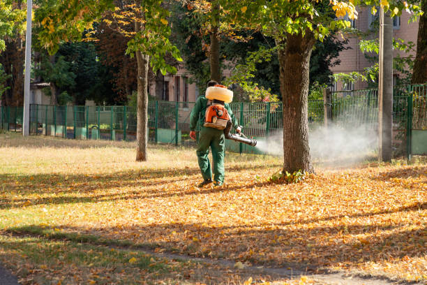 Best Bed Bug Extermination  in Wolf Point, MT